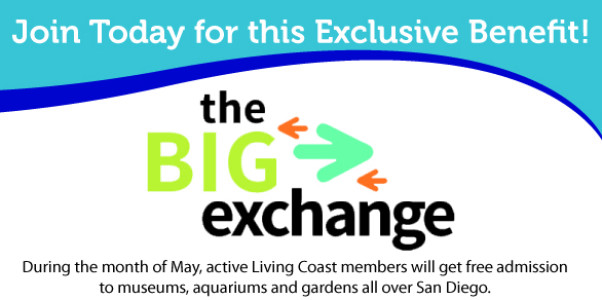 living coast membership the