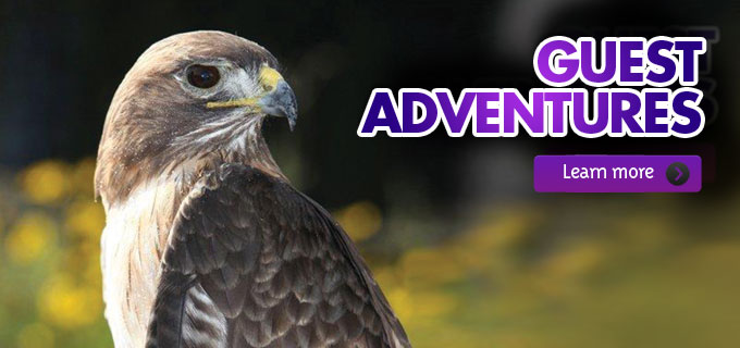 guest_adventures_living_coast_discovery_center
