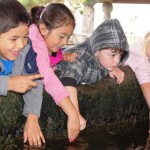 Kids at Touch Tank