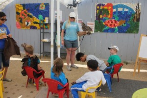 outreach bird