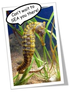 Seahorse comic