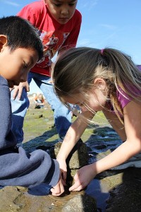 Summer Camp at the Living Coast