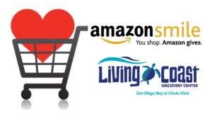 amazon living coast