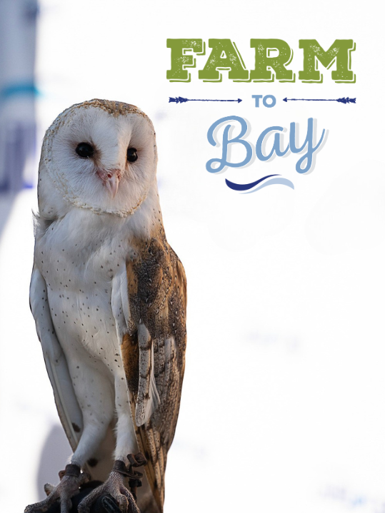 Signature Event - Farm to Bay