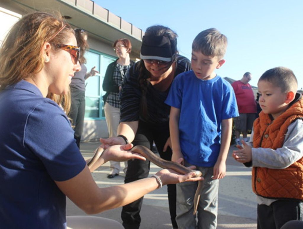 living coast snake encounter
