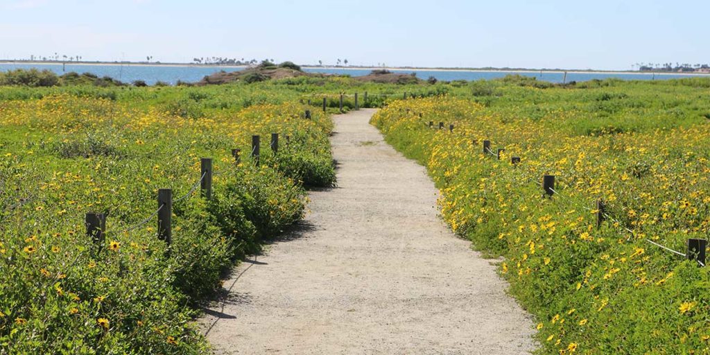 Living Coast Exhibit - Trails