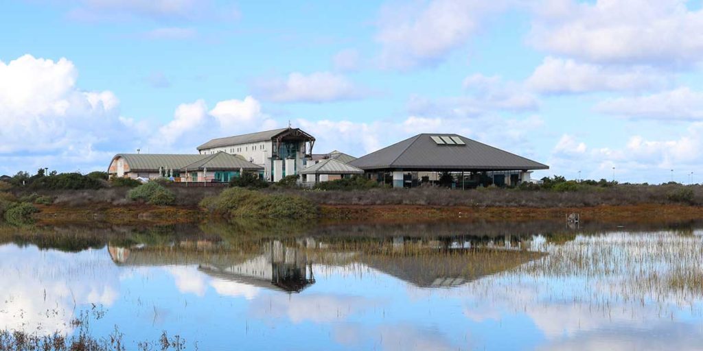 The Living Coast Discovery Center