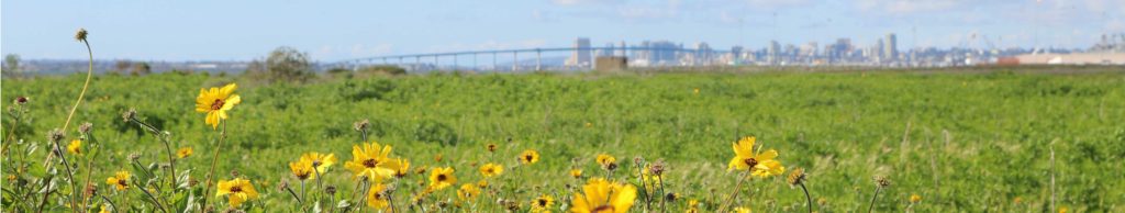 Living Coast Discovery Center - Conservation