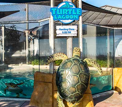 living coast discovery center