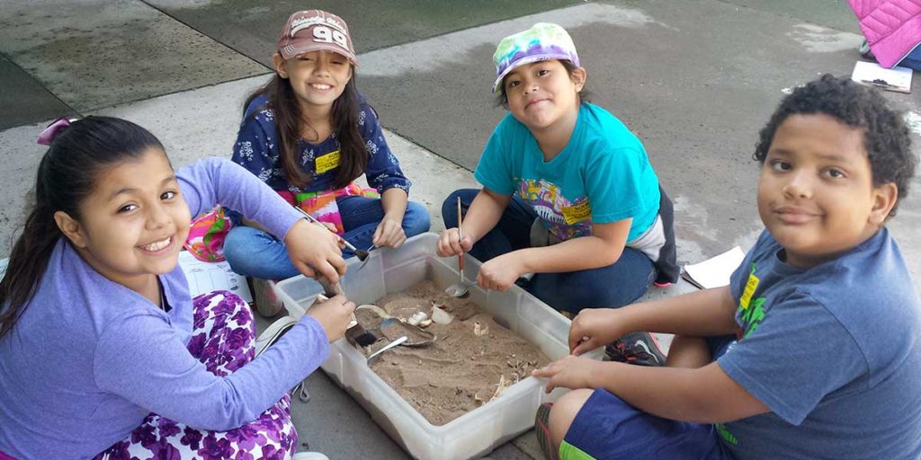 The Living Coast Programs - Archeology