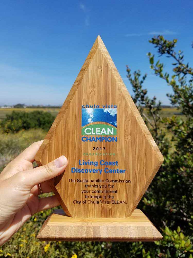 Chula Vista Clean Champion 2017