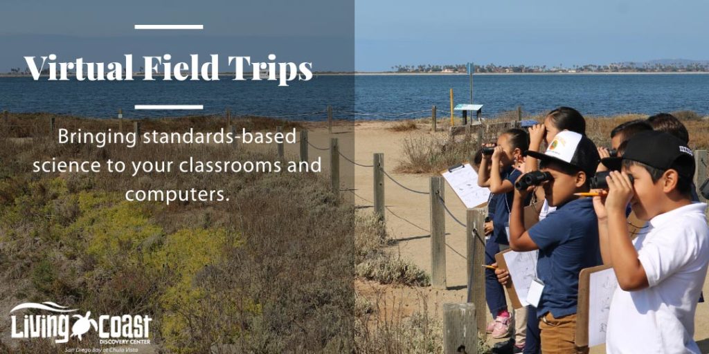 Living Coast Virtual Field Trips