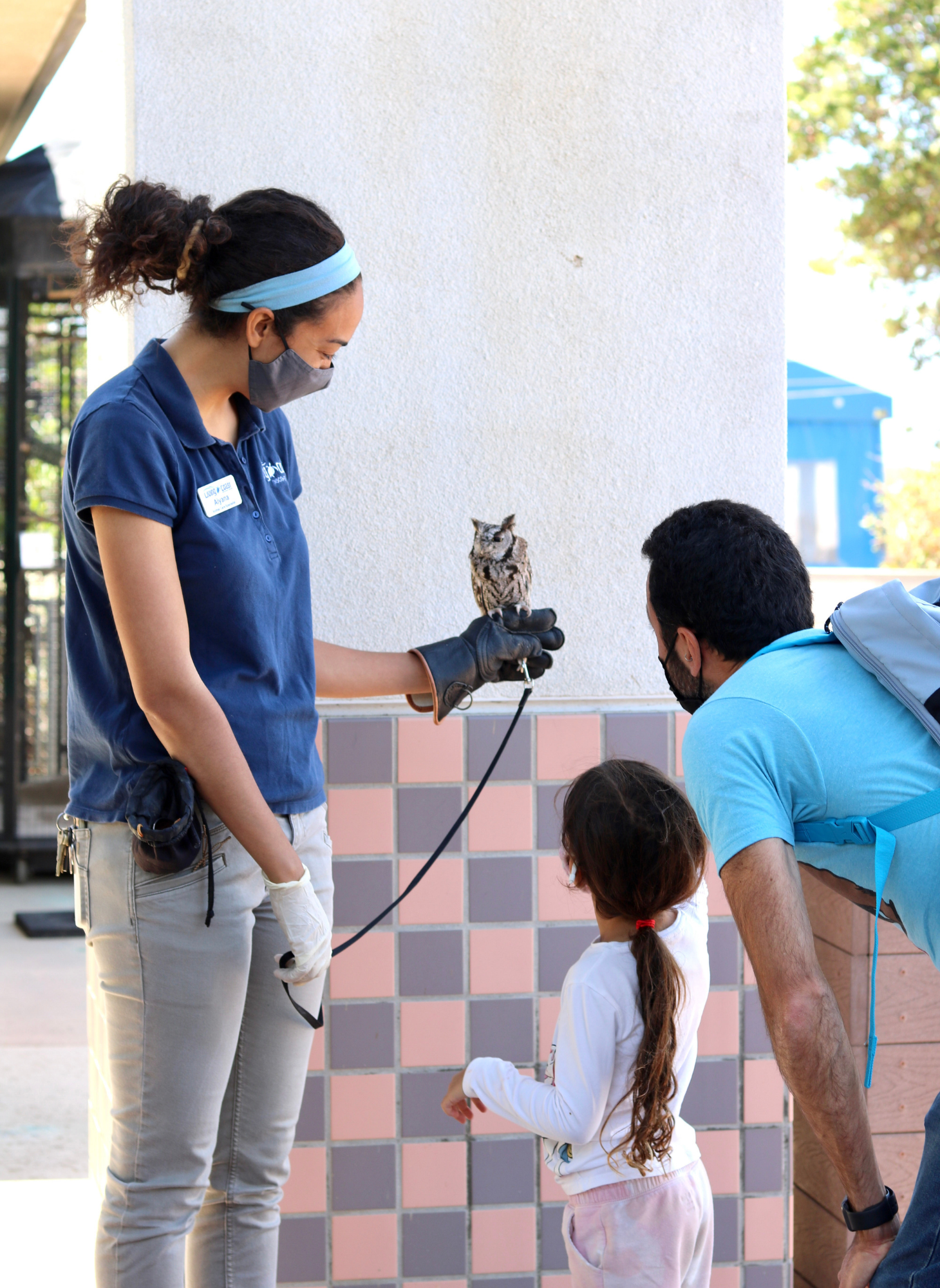 Callout - Animal Encounters