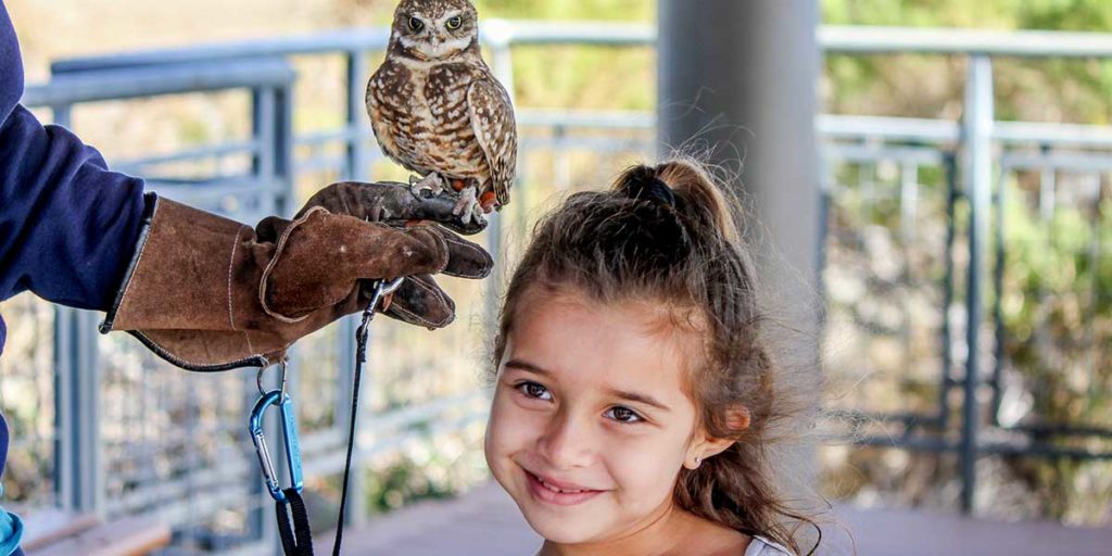 Living Coast - family private animal encounter