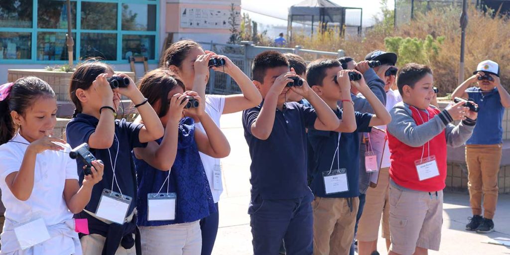 The Living Coast Programs - Binocular Viewing