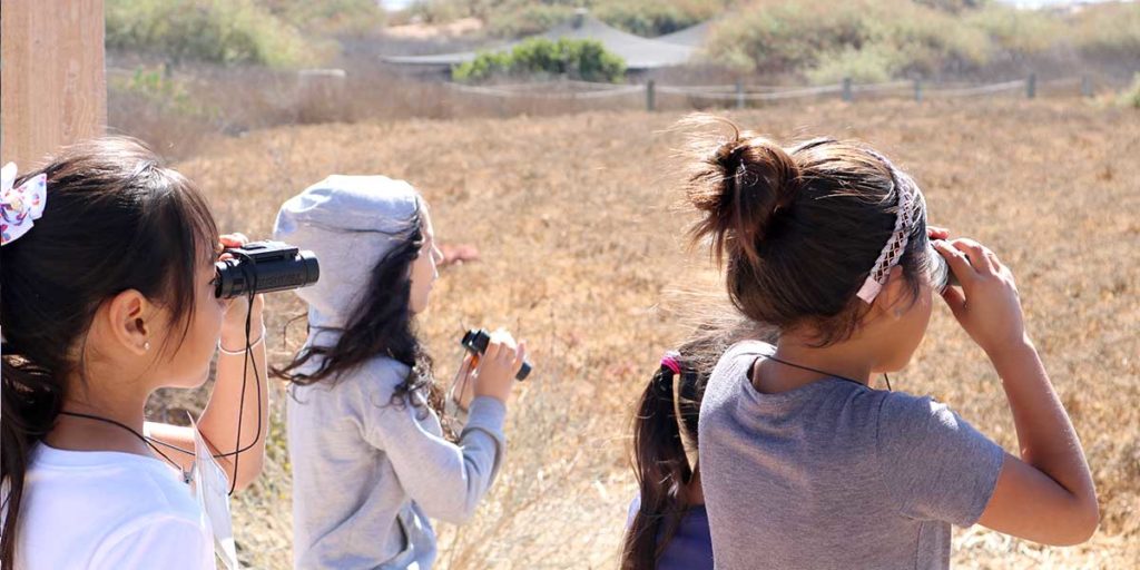 The Living Coast Programs - Binocular Viewing