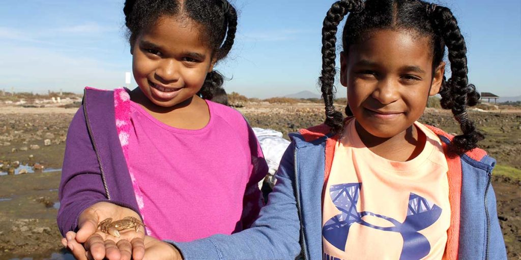 The Living Coast Programs - Holding Crabs