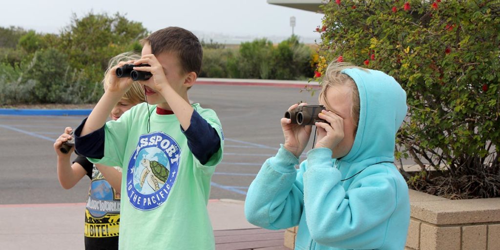 The Living Coast - Kids Programs - Binoculars