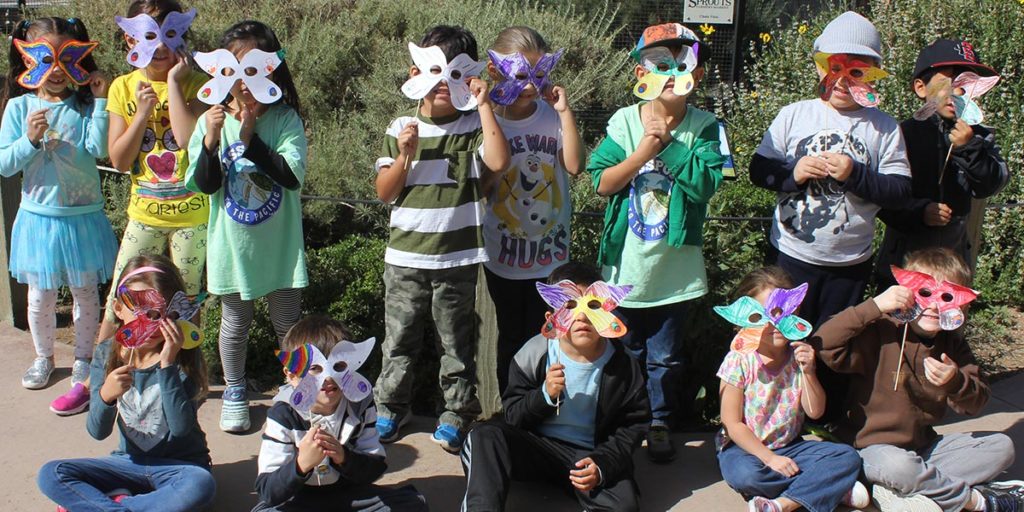 The Living Coast - Kids Programs - Butterflies