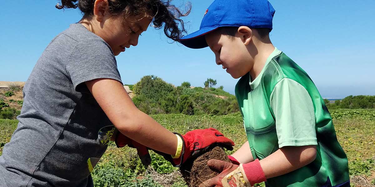 The Living Coast Programs - Planting