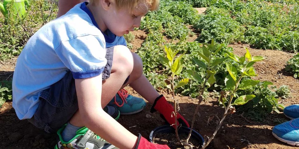 The Living Coast Programs - Planting