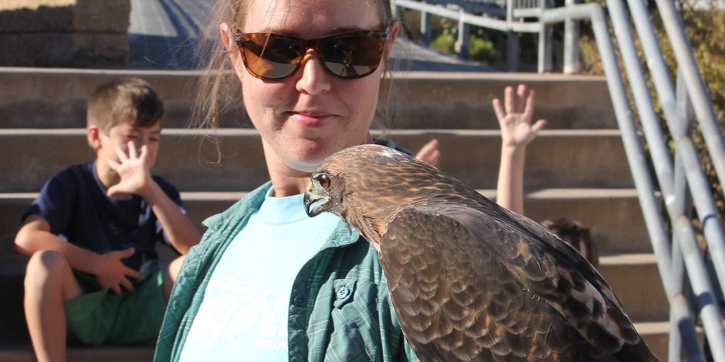 The Living Coast - Field Trips - Raptor