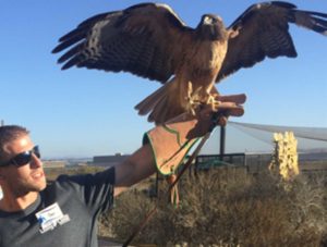 Living Coast Discovery Center - Volunteers