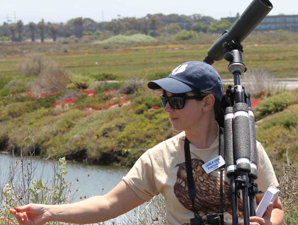 Living Coast Discovery Center - Volunteers