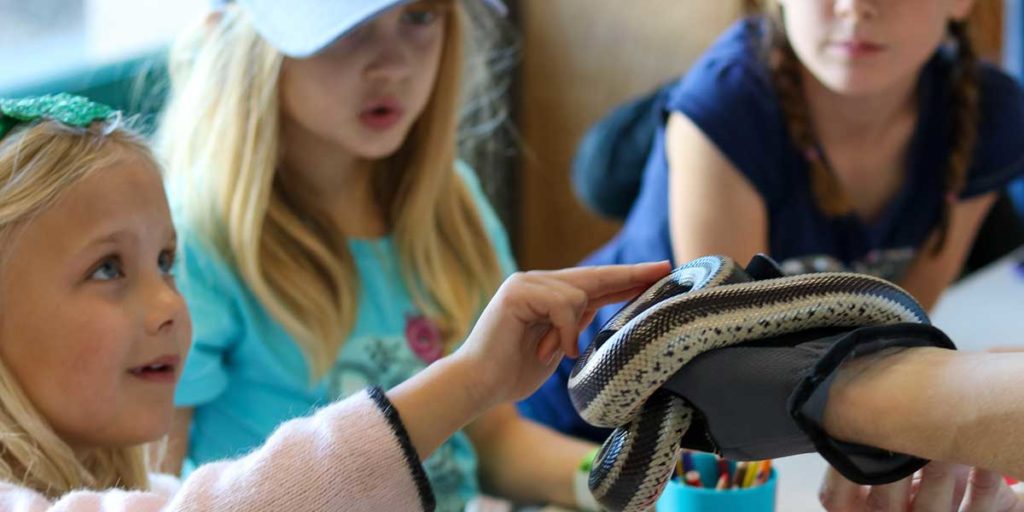 The Living Coast Discovery Center - Wildlife encounter with a snake