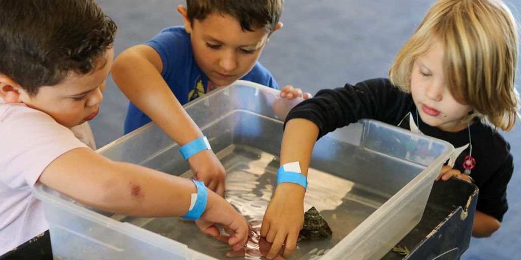 The Living Coast Discovery Center - Wildlife encounter with a starfish