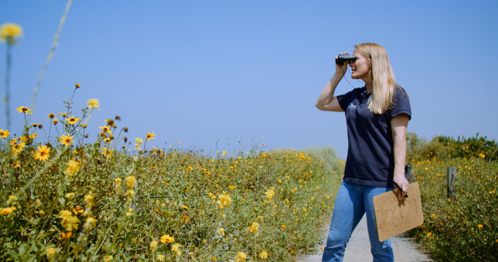 The Living Coast Discovery Center - Hikes