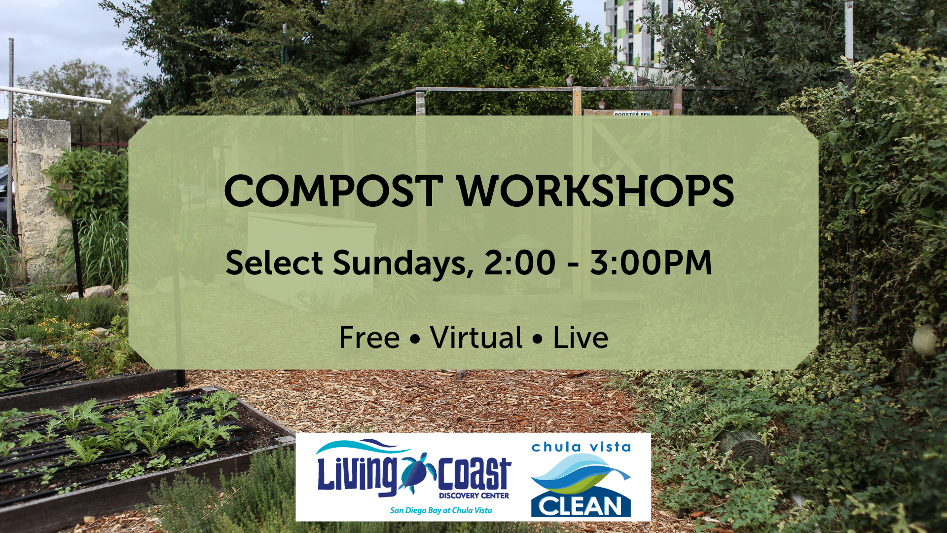 Compost workshops