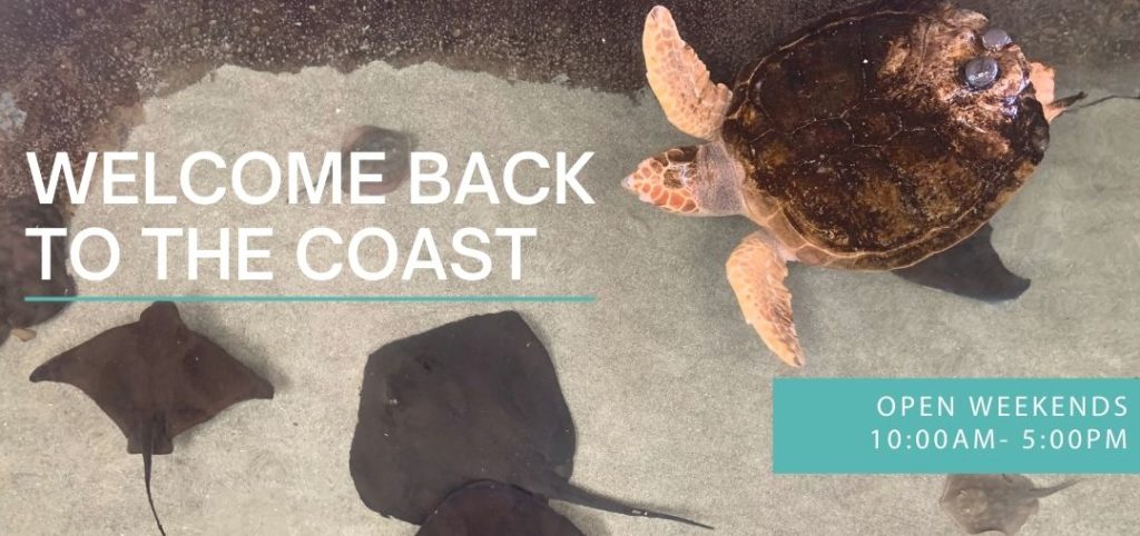 Welcome back to the coast.