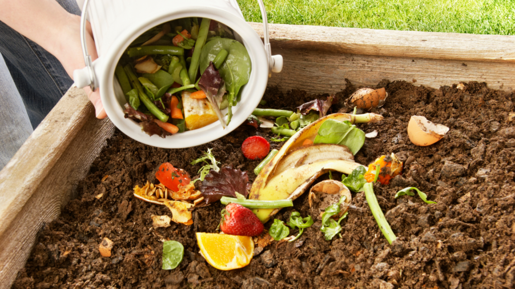 Compost Workshop