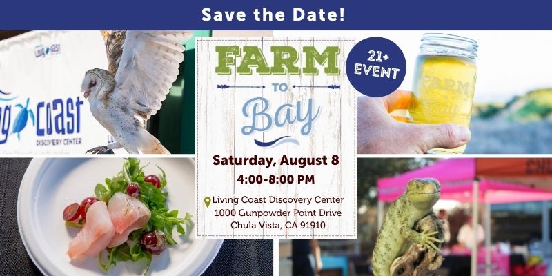 Save the Date! Saturday, August 8 from 4:00 - 8:00 PM